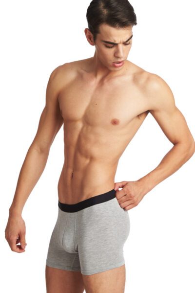 Slim & Fit in Grey Boxer Briefs