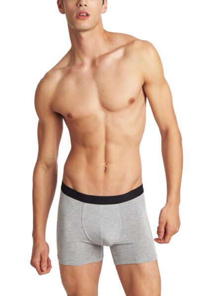 Toned & Smooth in Grey Boxer Briefs